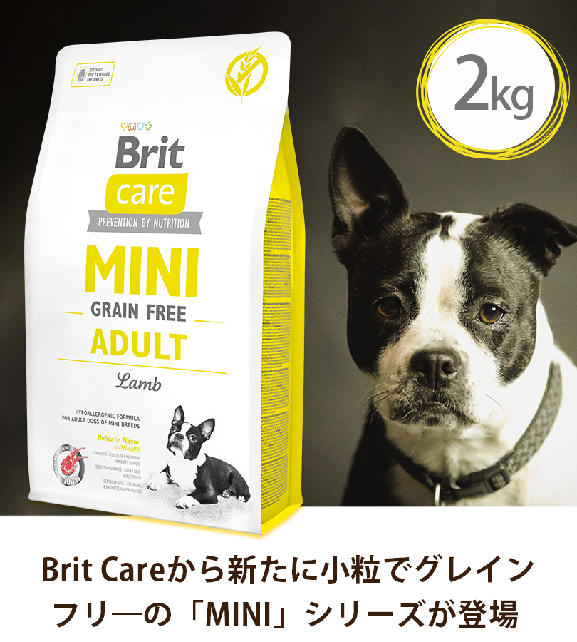 レティシアン グレインフリーラムドッグフード 2kg✖️2個 レティシア