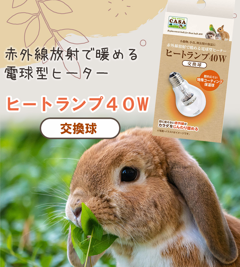 マルカン ヒートランプ 交換球 40W 小動物 小鳥 鳥 爬虫類 電球型