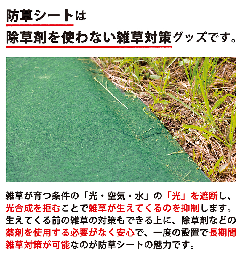 防草シート ザバーン 350G 2m×3m 固定用 ピン20本付属 強力 グリーン