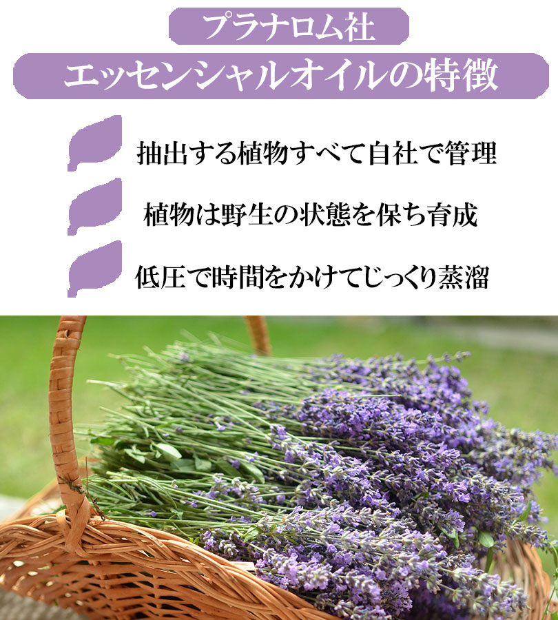 ゆみりん様　プラナロム ラベンダースーパー BIO 30ml×2本 プラナロム】 ラベンダー・スーパー （ラバンジン） 精油