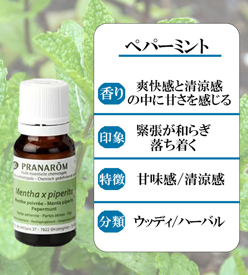 マリン様　PRANAROM サイプレス、ペパーミント　プラナロム　精油 プラナロム ペパーミント｜アロマ×アロマ