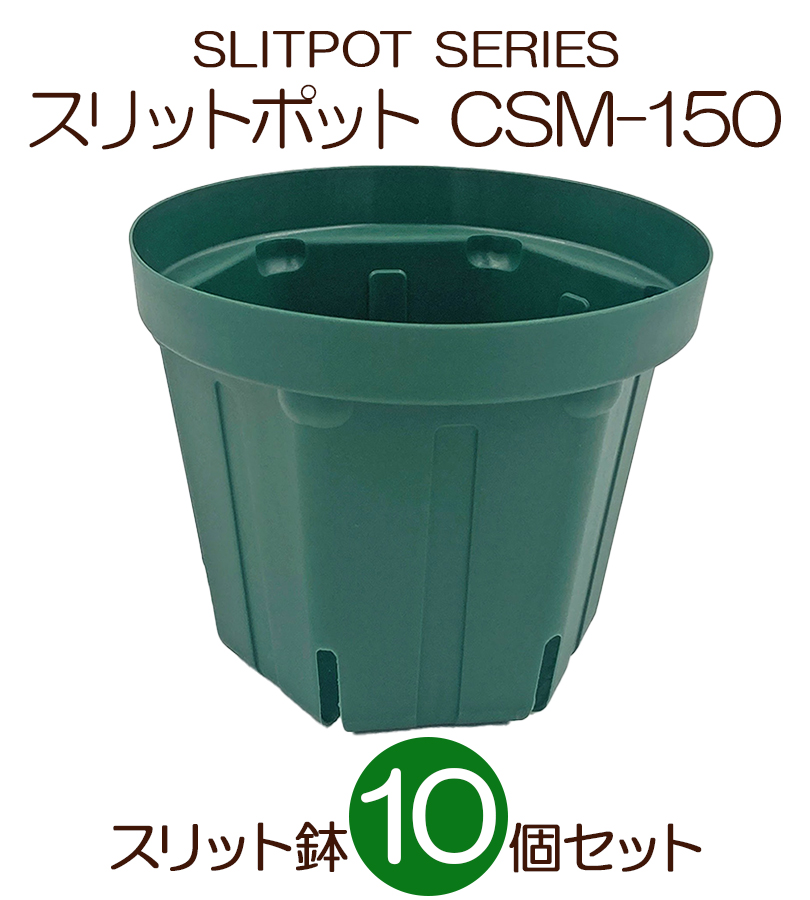 植木鉢 スリットポット CSM-150 兼弥産業 とんでもないポット 5号モスグリーン 10個セット プランター スリット鉢 プラ鉢 園芸 花壇  園芸用品 鉢 ガーデニング : u521273 : ライフスタイル&生活雑貨のMofu - 通販 - Yahoo!ショッピング