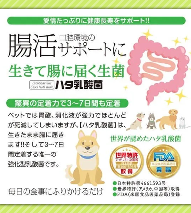 ハタ乳酸菌 for pets ペット用 60g 乳酸菌 犬 猫 いぬ ねこ ペット