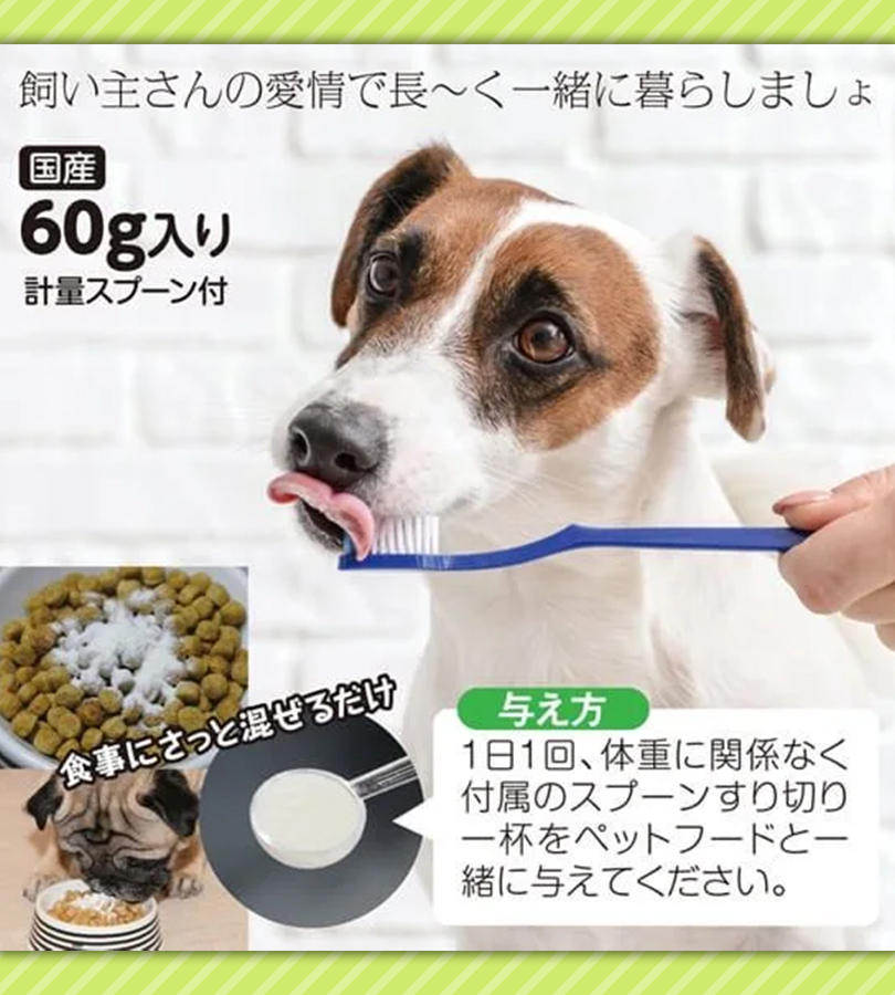 ハタ乳酸菌 for pets ペット用 60g 乳酸菌 犬 猫 いぬ ねこ ペット