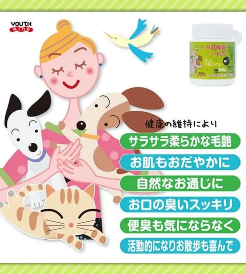 ハタ乳酸菌 for pets ペット用 60g 乳酸菌 犬 猫 いぬ ねこ ペット