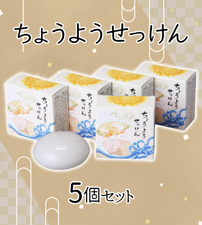 石鹸 手 ちょうようせっけん 5個入り 固形石鹸 無香料 無着色
