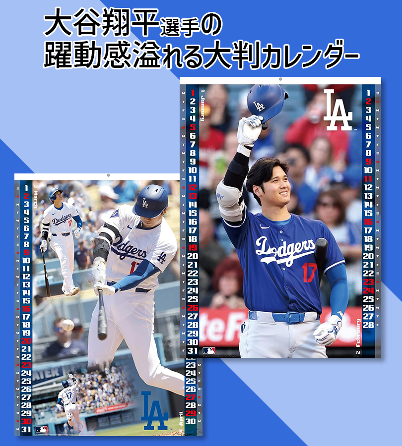 大谷翔平選手、2025年カレンダー、永久保存版、額・保管紙箱付 大谷翔平 2025年 カレンダー 壁掛け 令和7年 CL-551 B2サイズ 大判