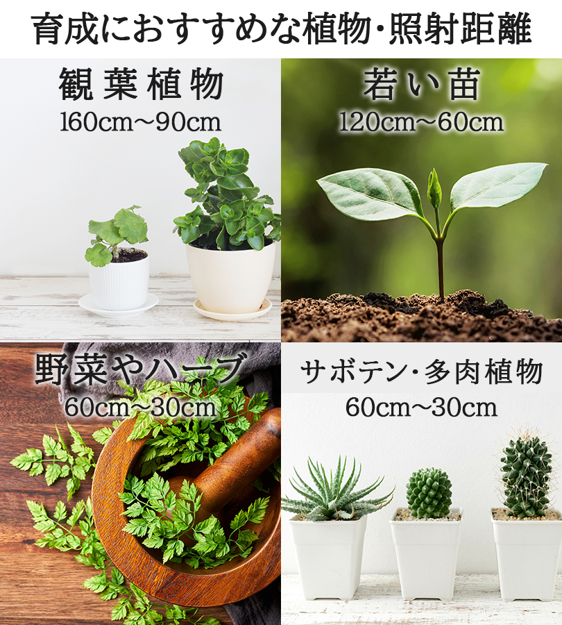 BARREL ROKI-OCTAGON 50W ブラック ホワイト 植物育成ライト LED