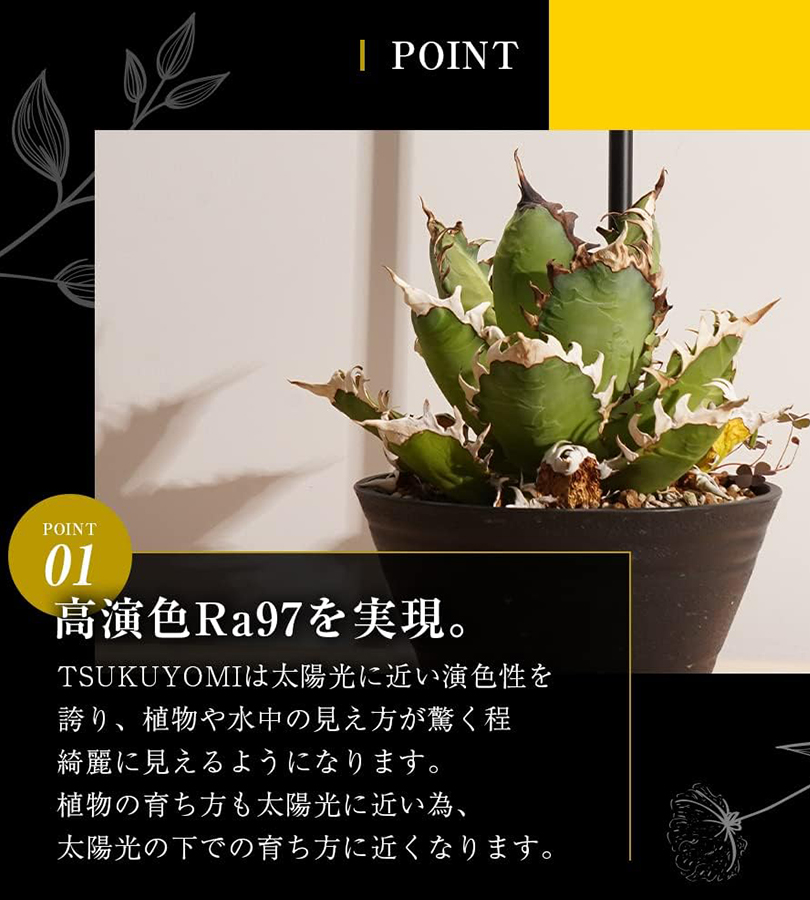 BARREL TSKUYOMI ツクヨミ 10W AKADAMACHAN アカダマちゃんモデル 植物