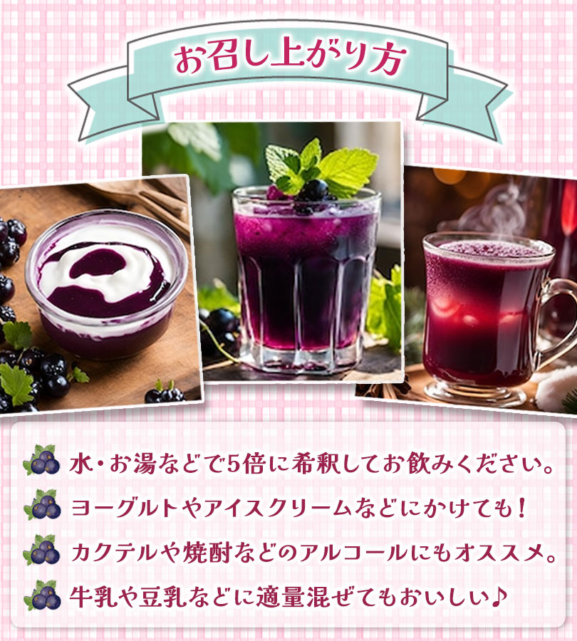 ジャフマック 醗酵カシス 565ml G999200 2本セット 5倍希釈 カシス