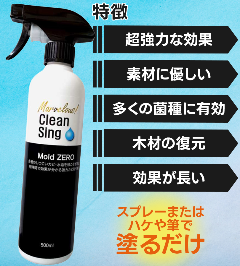 榮建設 強力 カビ取り剤 Mold ZERO カビ取り スプレー カビ 除去 掃除