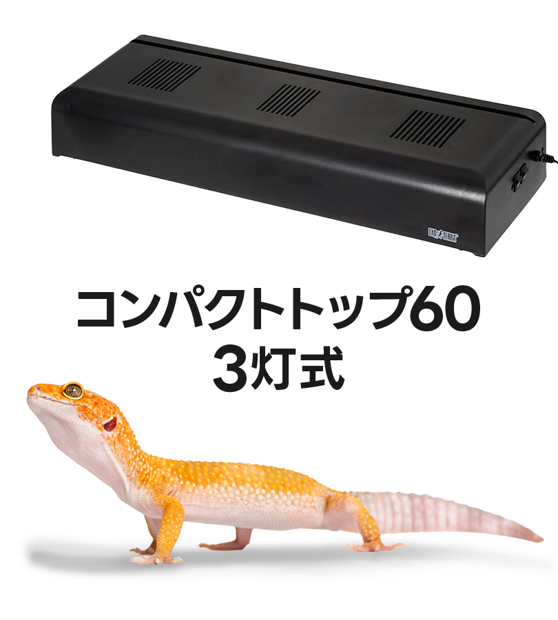 GEX EXOTERRA コンパクトトップ60 3灯式 照明器具 ジェックス グラス