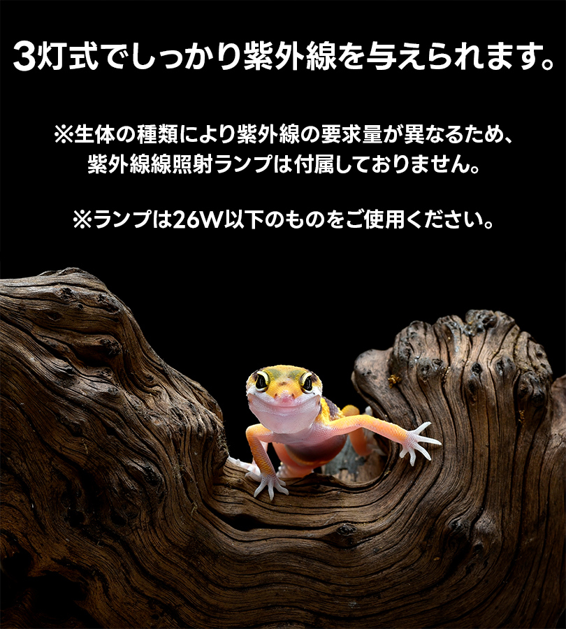 GEX EXOTERRA コンパクトトップ60 3灯式 照明器具 ジェックス グラス