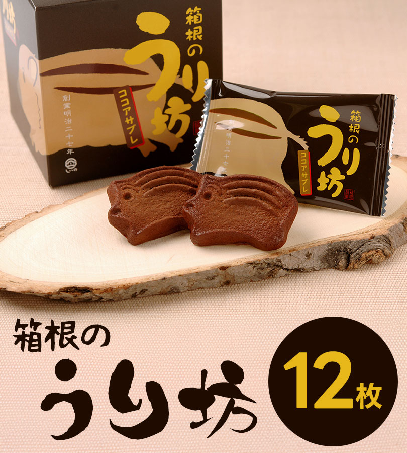 しいの食品 箱根のうり坊 ココアサブレ 12個入り お土産 お菓子