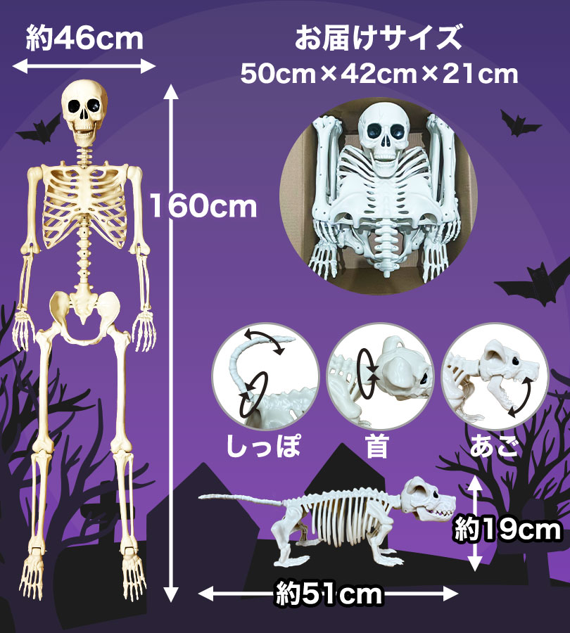ハロウィン 骸骨 飾り 犬の骸骨 付き セット 動く 置物