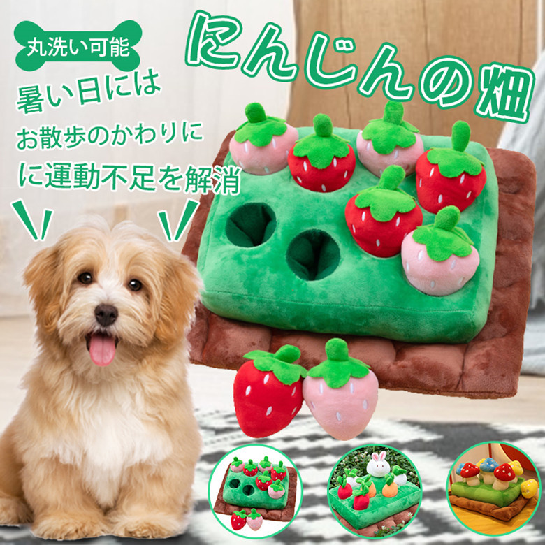 犬 おもちゃ にんじん畑 ノーズワーク イチゴ にんじん 犬用 知育玩具 訓練毛布 餌マット 犬嗅ぎパッド 嗅覚訓練 運動不足 ストレス解消  ペットおもちゃ :jxe255:SELECT EBISU MART - 通販 - Yahoo!ショッピング