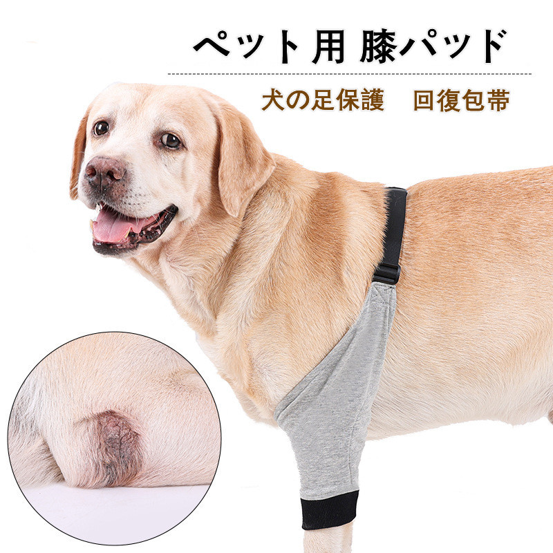 ラッピング無料 ペット サポーター 膝蓋骨 脱臼 犬 足 保護用包帯 超軽量 関節保護 犬足プロテクター 舐め防止 犬用 手術固定 老犬介護 足保護 傷口保護 Shipsctc Org