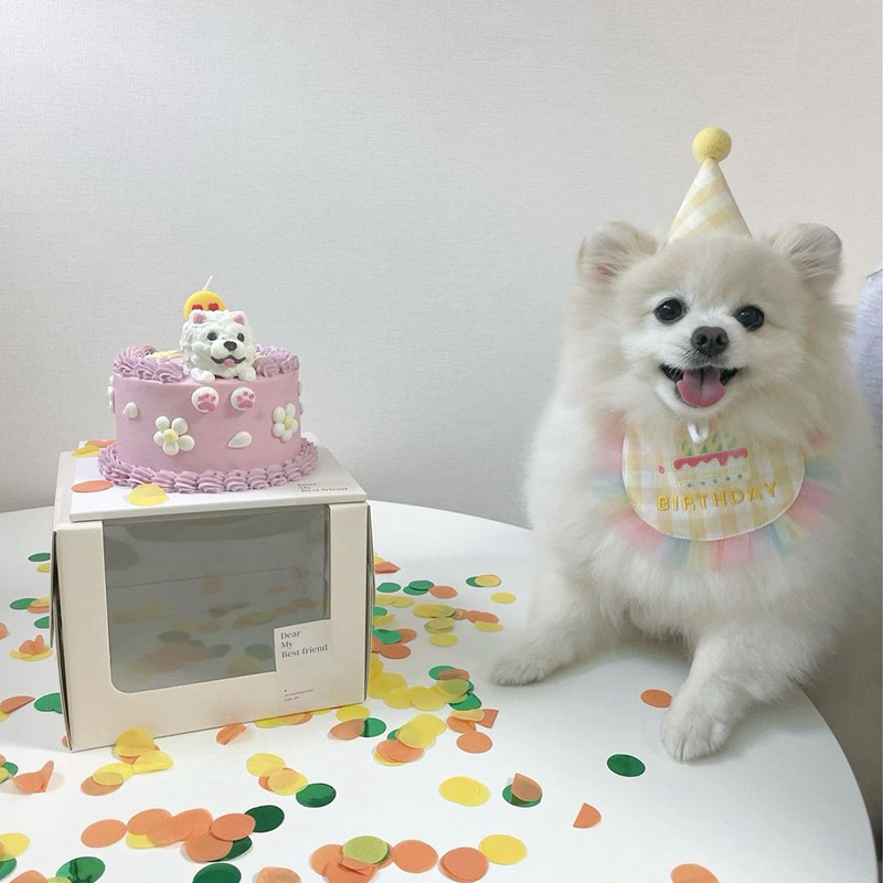 犬用スタイ スカーフ 誕生日 犬 猫 帽子 ハッピーバースデー よだれかけ お祝い 写真 撮影 コスプレ 洋服 可愛い ペットグッズ 小型犬 スタイ  首掛け 犬用品 :jxe717:SELECT EBISU MART - 通販 - Yahoo!ショッピング