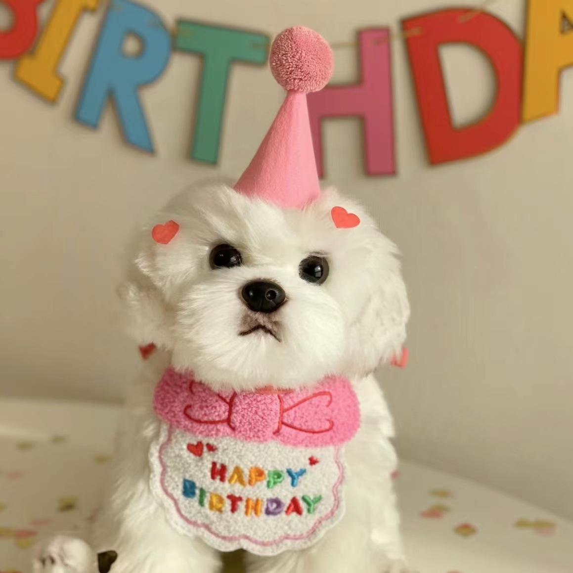 犬用スタイ 誕生日 帽子セット 犬 猫 グッズ ハッピーバースデー よだれかけ お祝い 写真 撮影 コスプレ 洋服 可愛い ペットグッズ 小型犬  スタイ 首掛け 犬用品 :jxe815:SELECT EBISU MART - 通販 - Yahoo!ショッピング