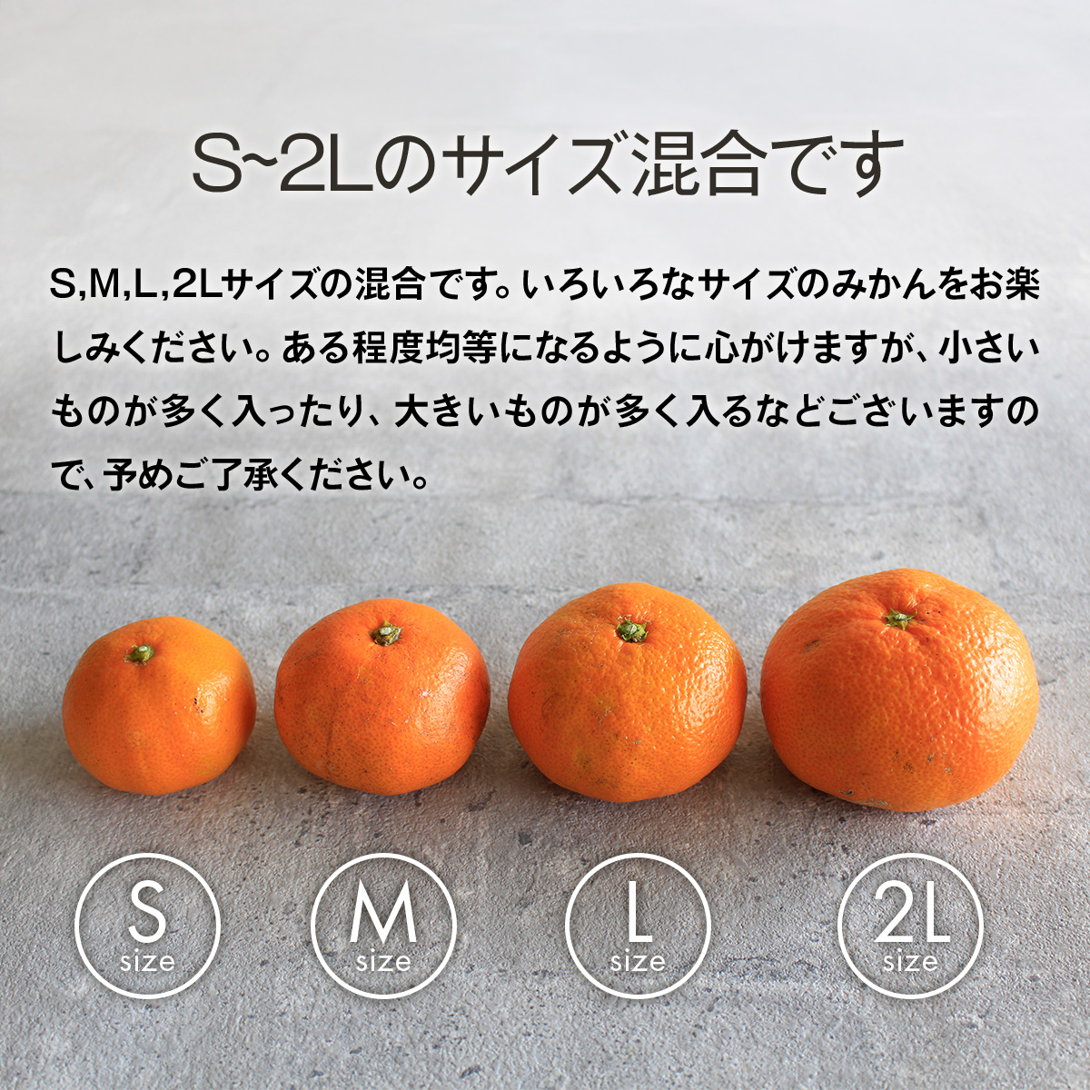 青島 みかん と は