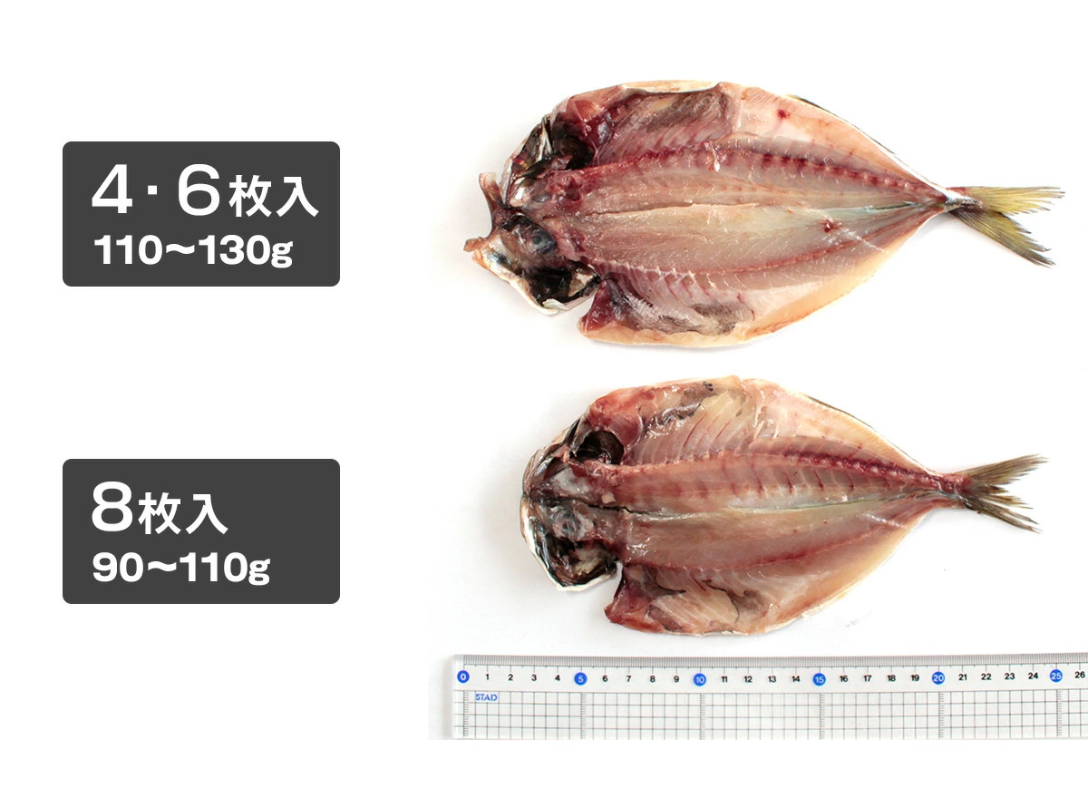 アジの干物 静岡県 沼津の干物 最高級 アジ干物 8枚 詰め合わせ