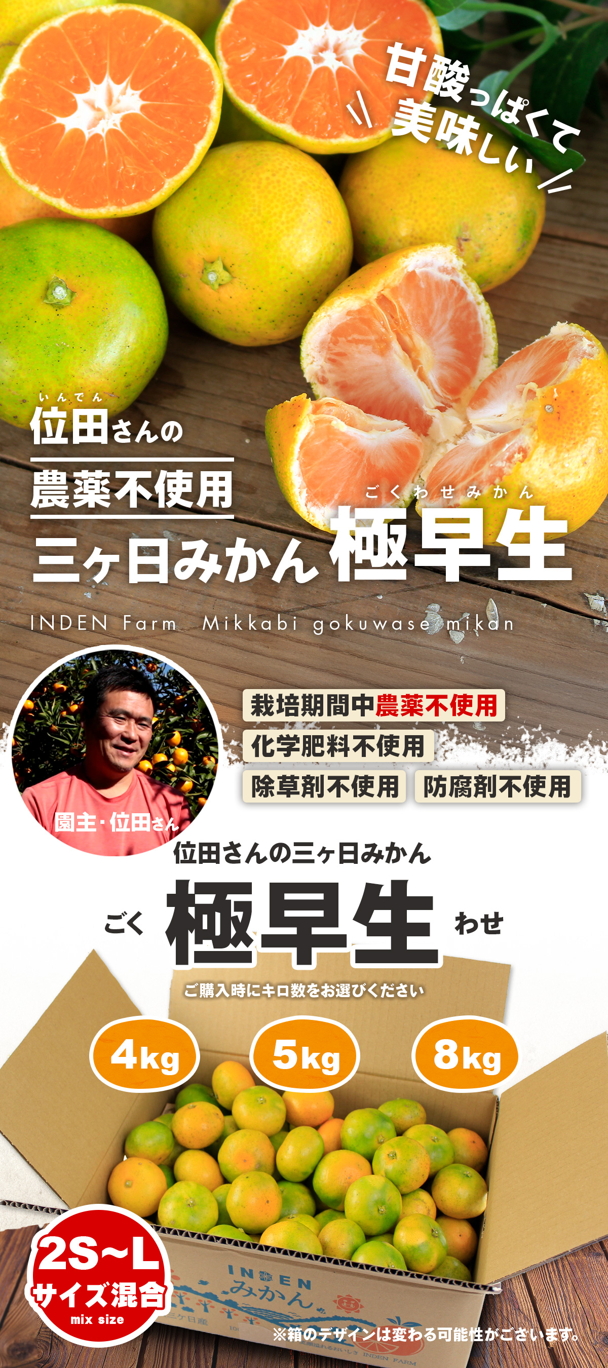 浜名湖みかん極早生