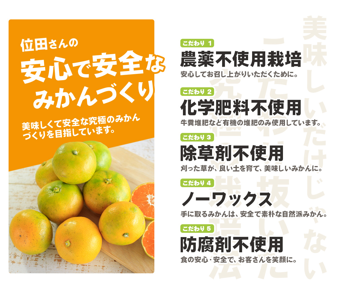 三ヶ日みかん 極早生