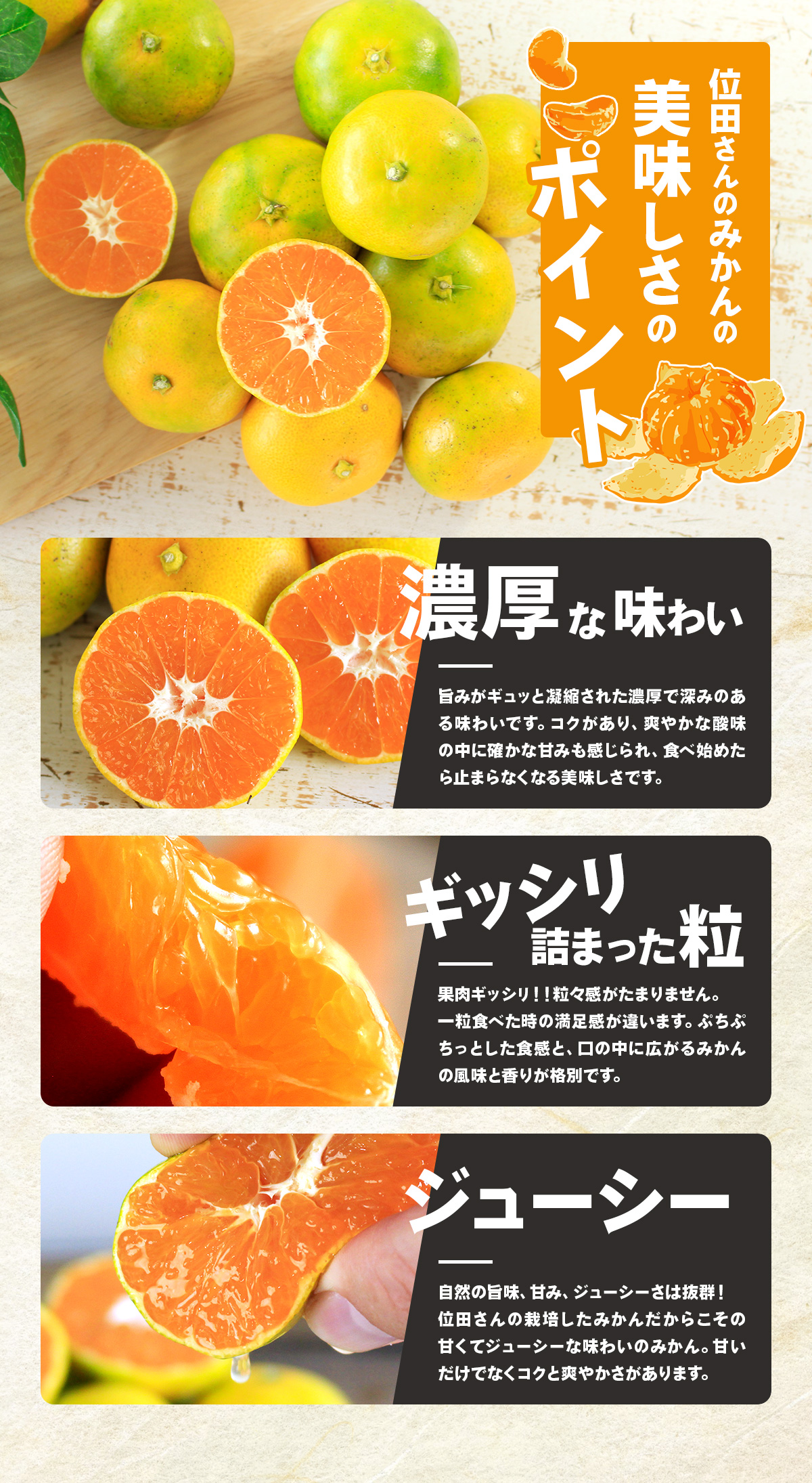 三ヶ日みかん 極早生