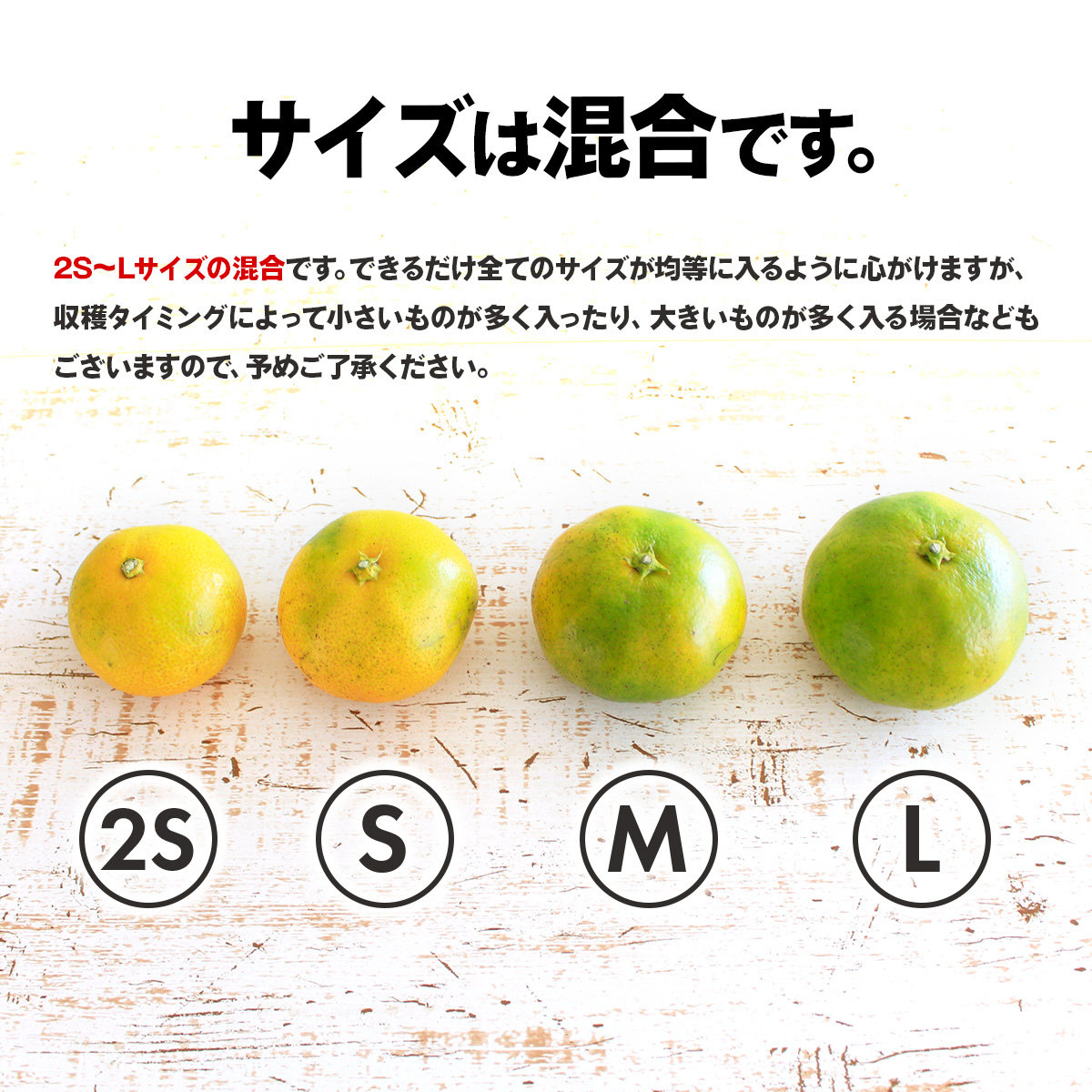 三ヶ日みかん 極早生