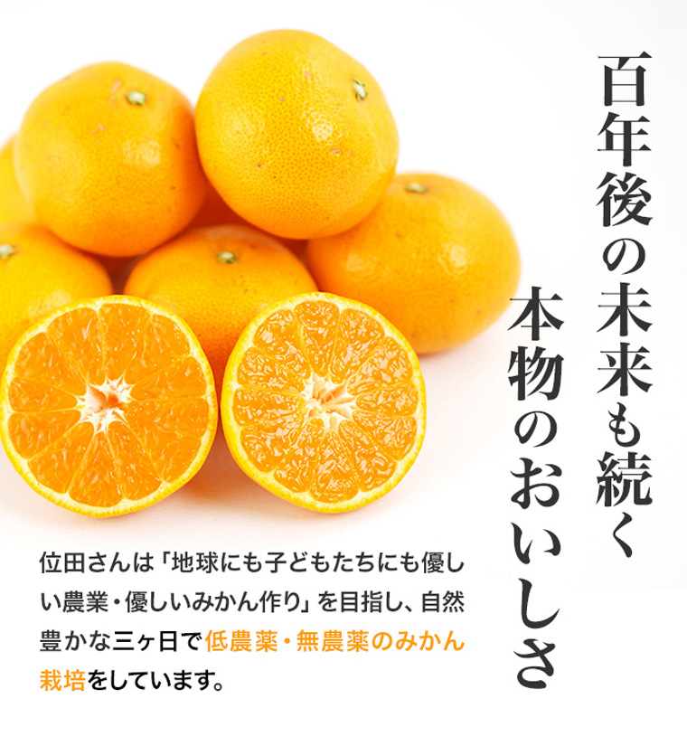 みかん 4kg 三ヶ日みかん 農薬不使用 南柑 無農薬 無肥料栽培 位田さん