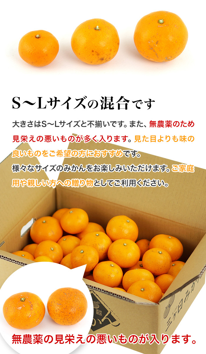 みかん 4kg 三ヶ日みかん 農薬不使用 南柑 無農薬 無肥料栽培 位田さん
