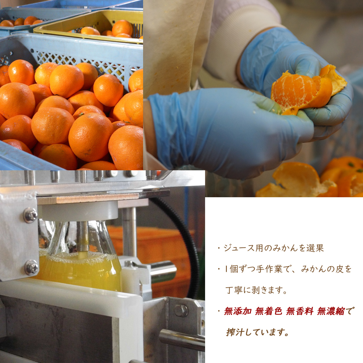 三ケ日みかんジュース