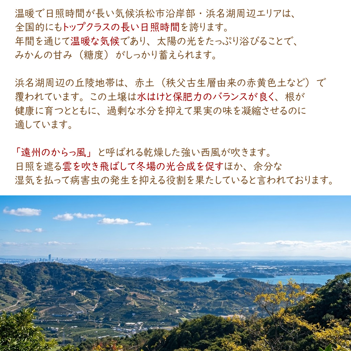 三ケ日みかんジュース