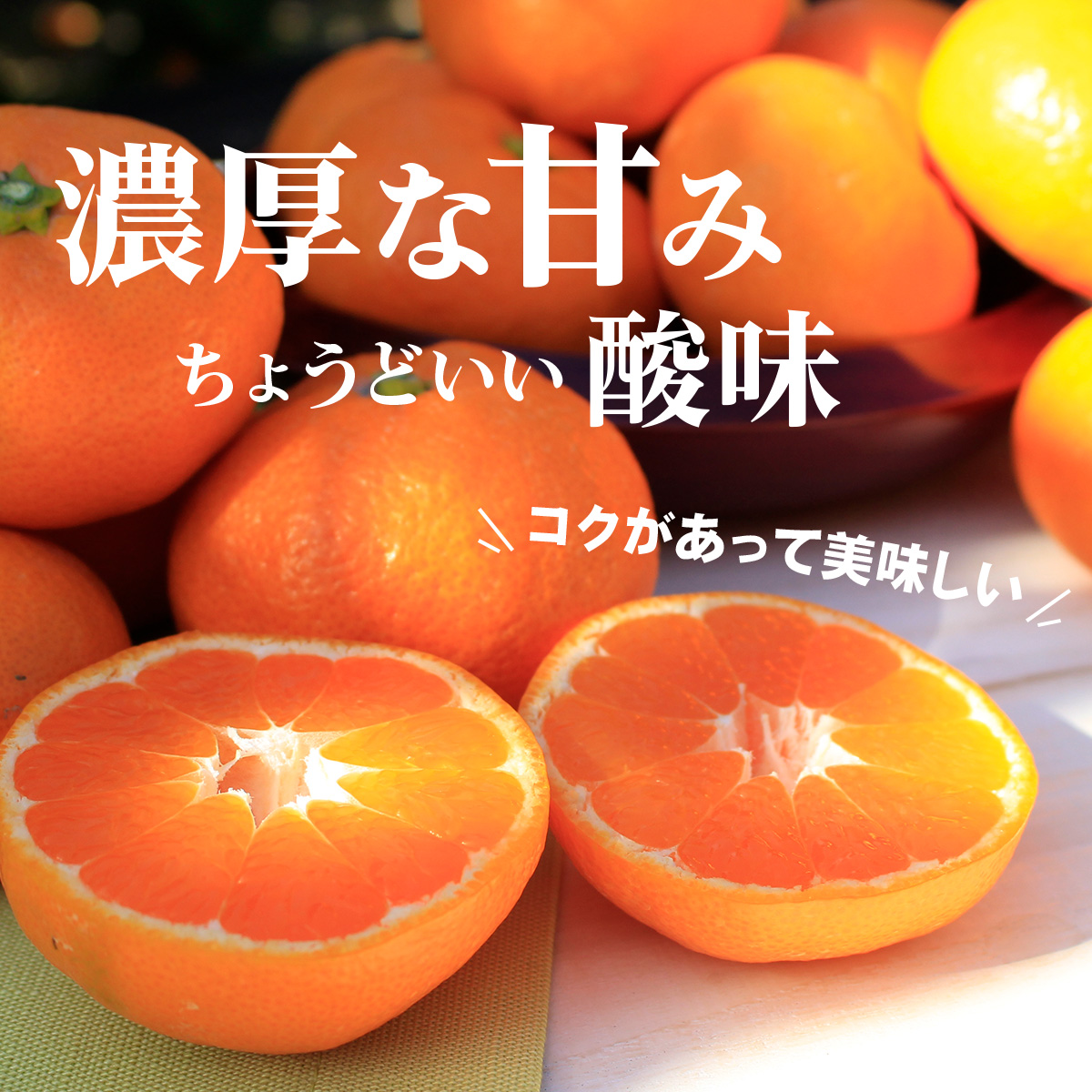 みかん 10kg 三ヶ日みかん青島 柑甘ファームの三ケ日青島みかん 送料
