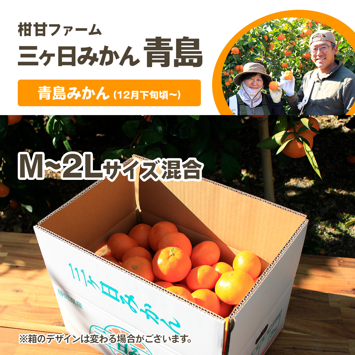三ヶ日青島みかん　みかん　10kg ミカン　三ヶ日みかん みかん 10kg 三ヶ日みかん青島 柑甘ファームの三ケ日青島みかん 送料