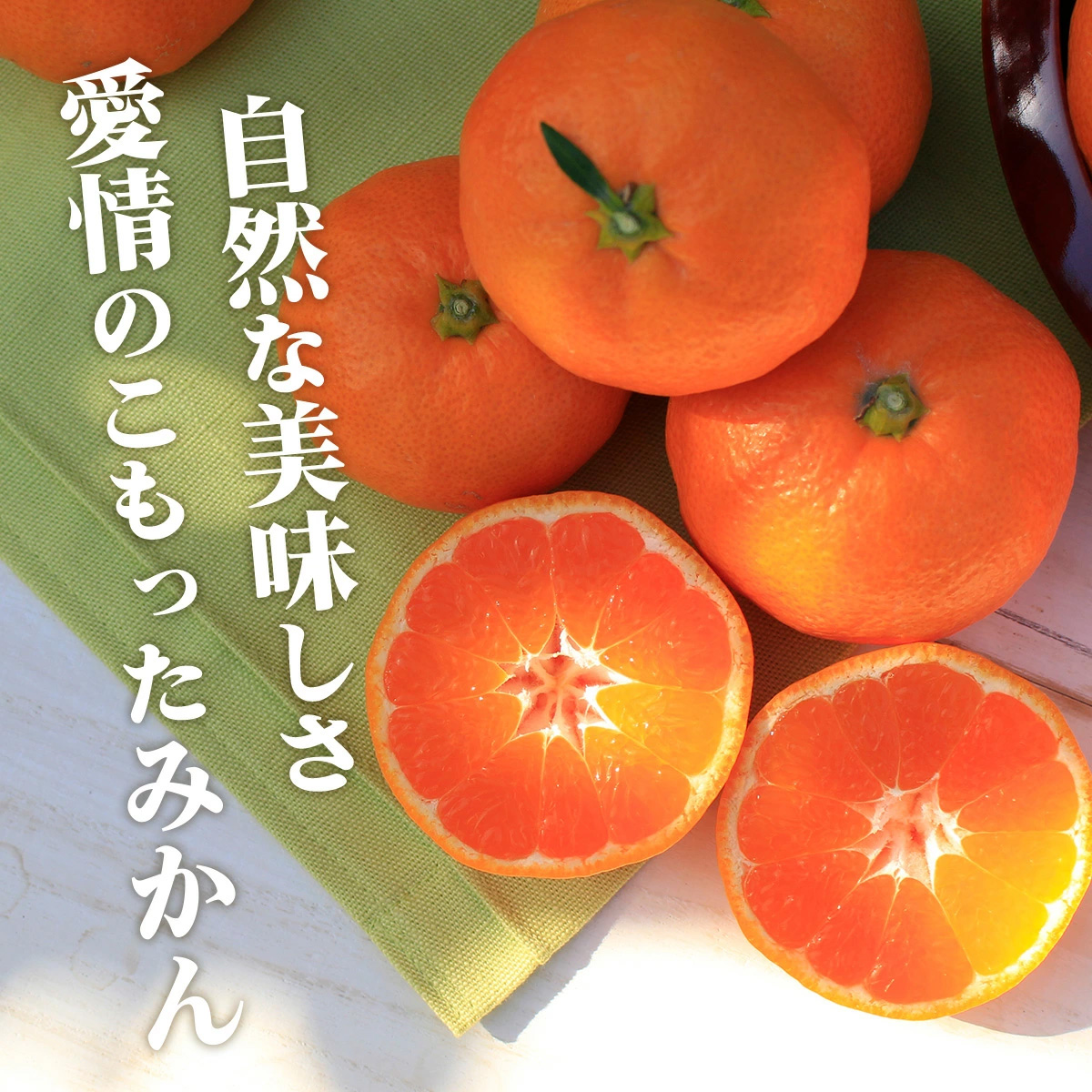 みかん 10kg 三ヶ日みかん青島 柑甘ファームの三ケ日青島みかん 送料
