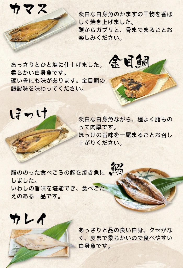 まるごとくん 7種セット