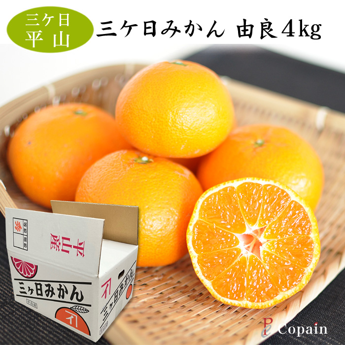 静岡 三ケ日みかん