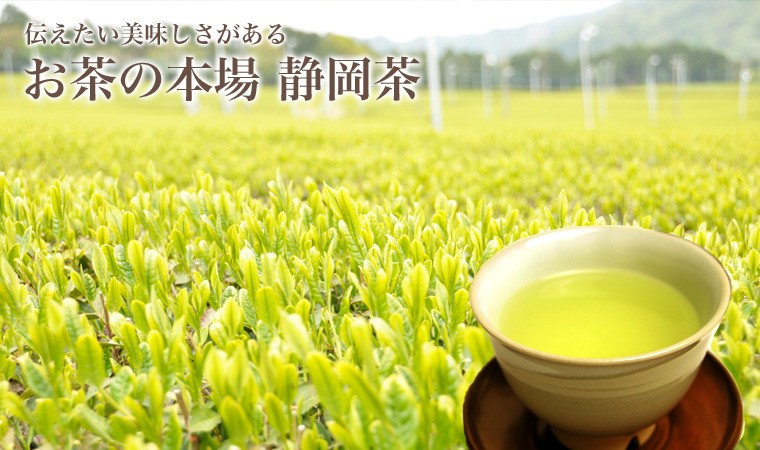 静岡新茶