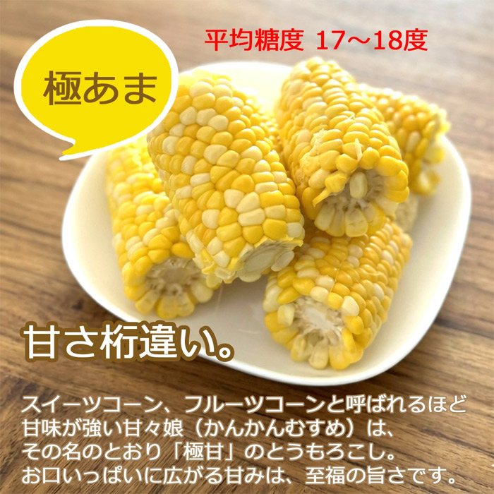 とうもろこし 甘々娘 かんかんむすめ 静岡県 袋井 森町 朝採り幻の