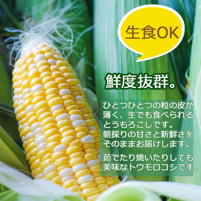 とうもろこし 甘々娘 かんかんむすめ 静岡県 袋井 森町 朝採り幻の