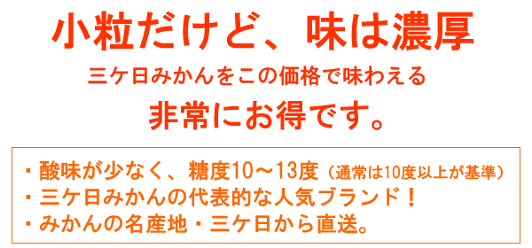 三ヶ日みかん 訳あり