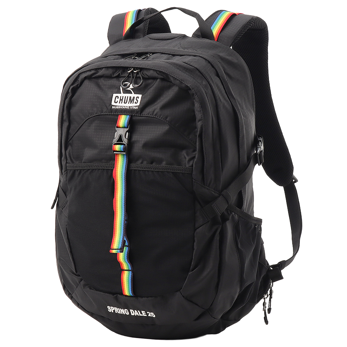 最大41% 2/25限定 チャムス スプリングデール リュック メンズ レディース ブランド A4 B4 25L CHUMS Spring Dale CH60-4098 | CHUMS | 02