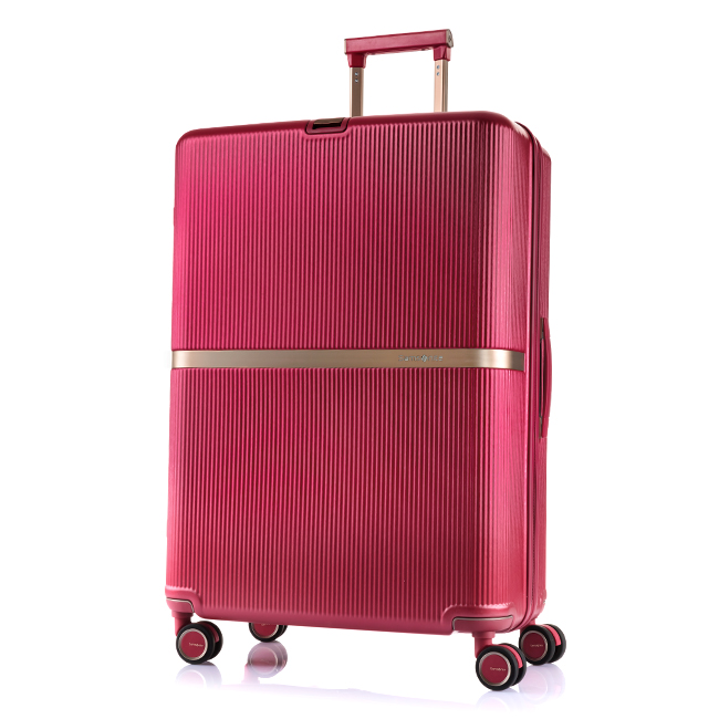 最大36% 6/6限定 サムソナイト スーツケース LLサイズ XL 100L/118L 大型 大容量 拡張 無料受託 静音キャスター  Samsonite Minter SPINNER75 HH5-003 nppr