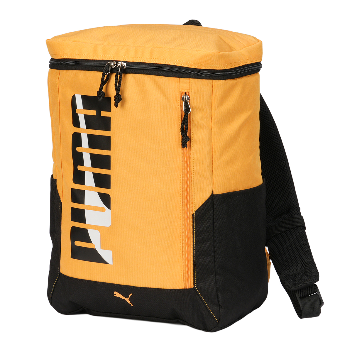最大43% 11/1まで 新商品/大忠/プーマ/エイダン/BOXリュックサック/20L/キッズ【j20143】 | PUMA | 02