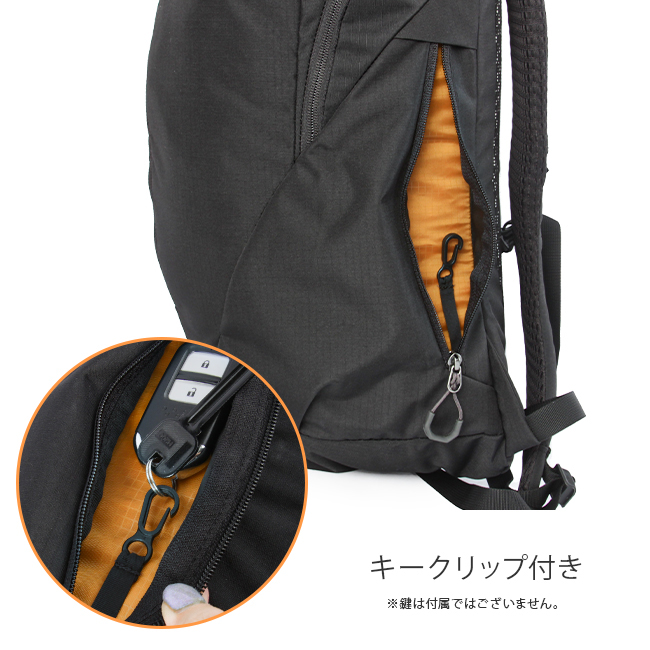 正規取扱店】グレゴリー ルーヌ20 リュックサック バックパック 20L GREGORY RHUNE20