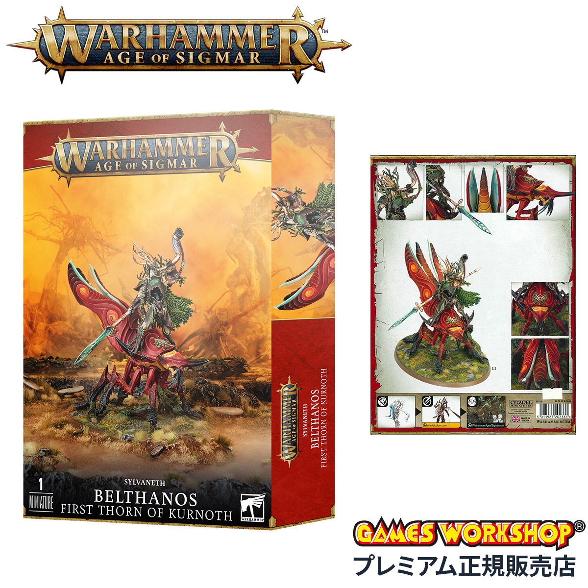 正規取扱店】ウォーハンマー エイジ・オヴ・シグマー シルヴァネス：クルノスの第一の棘 ベルサノス WARHAMMER Age of Sigmar  BELTHANOS First Thorn of KURNOTH 92-29