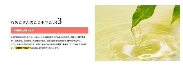 ハンドクリーム なめこさん 美容師 手荒れ