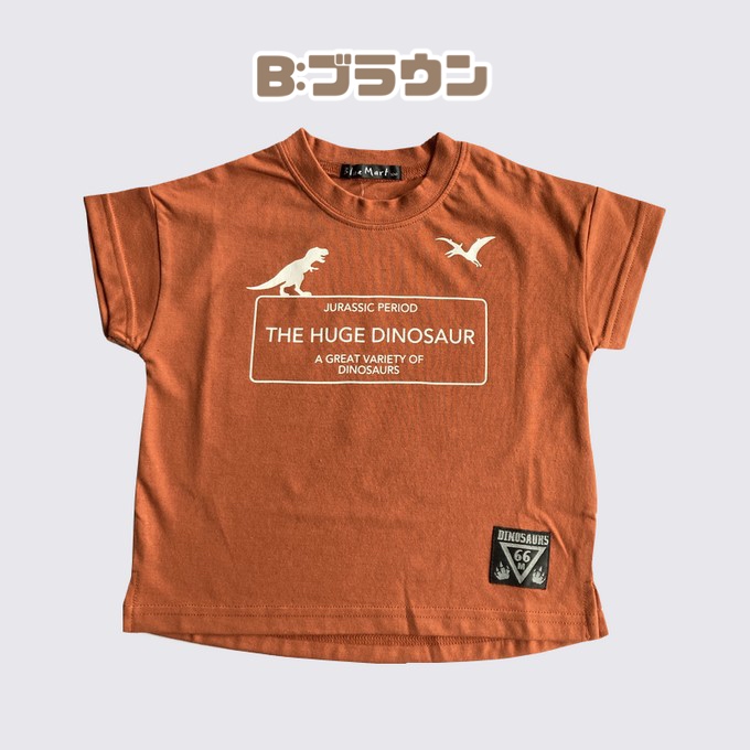 毎日着たくなる半袖Tシャツ