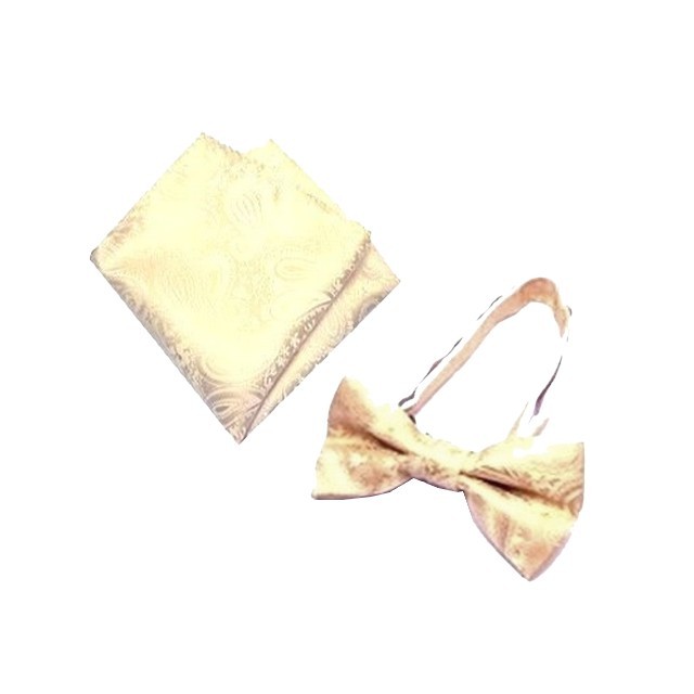 蝶ネクタイ ポケットチーフ 2点セット ペイズリー  mpc-set |  | 04